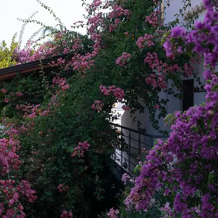 Vascellero Club Hotel 4*