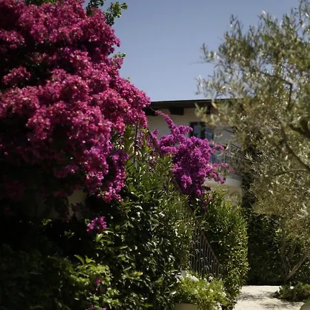 Hotel Vascellero Club
