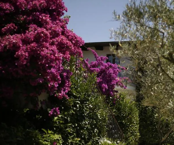 Hotel Vascellero Club